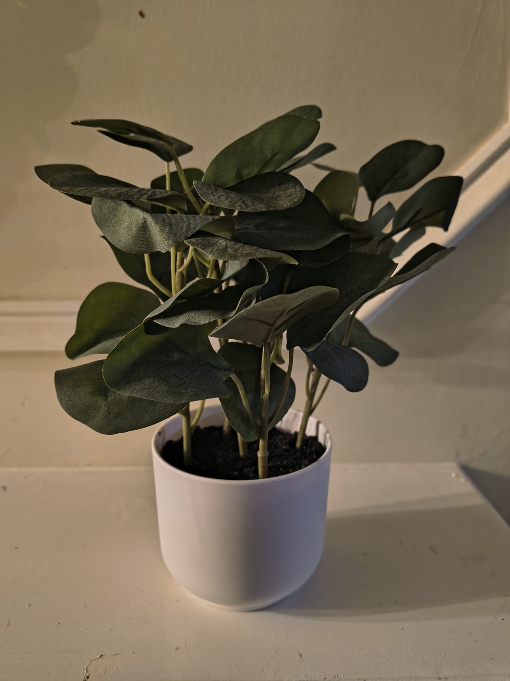 Artificial Potted Eucalyptus Plant in White Planter